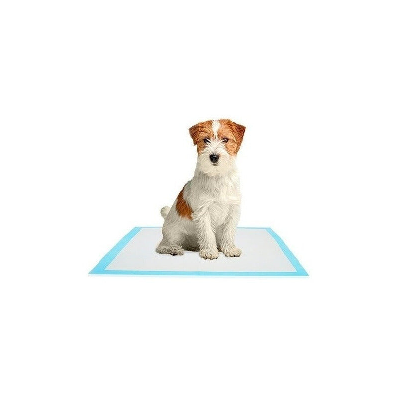 20 Pañales Tipo Sabanillas Mascotas Perros Y Gato 90x60 Cms