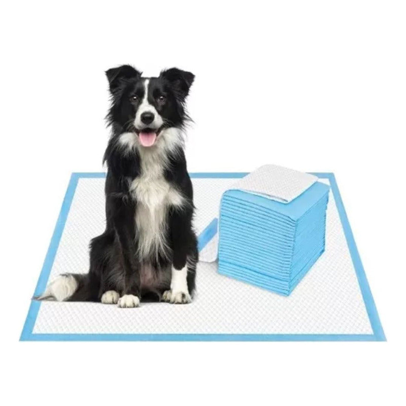 840 Pañales Tipo Sabanillas Mascotas Perros Y Gatos 60x60 Cm