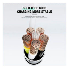 Cable Tipo C A Tipo C 100w Para Carga Y Datos